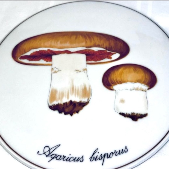 Copenhagen Porcelain B&G Mushroom Trivet Wall Plate Bing Grondahl Vintage Danish - Picture 4 of 4